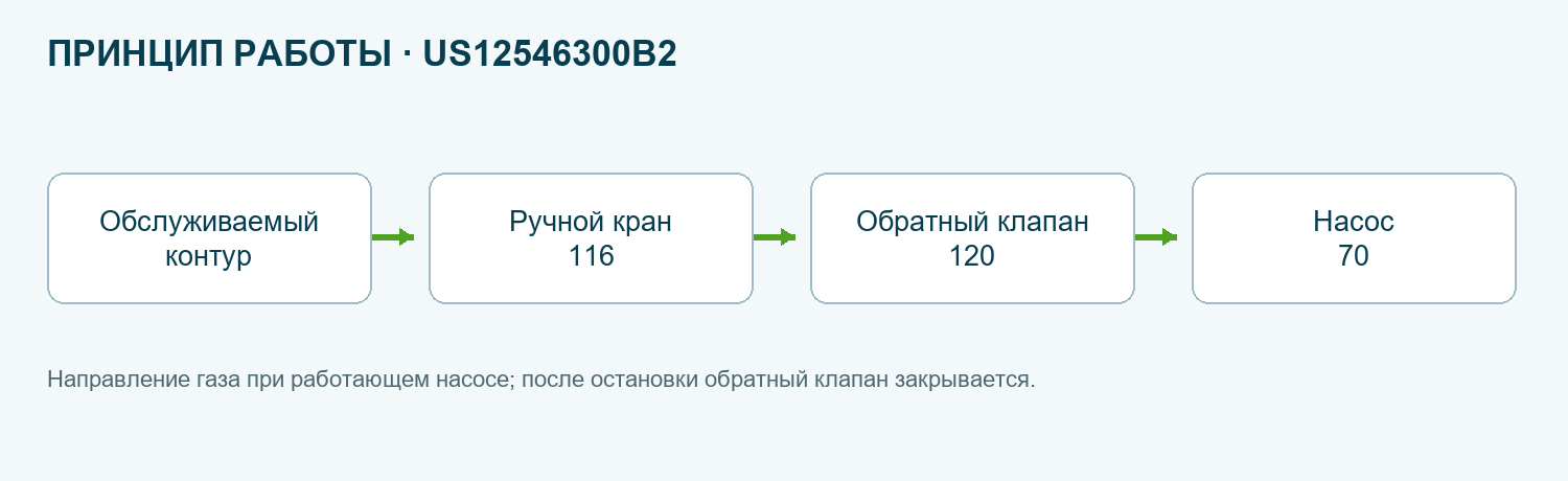 Функциональная схема US12546300B2
